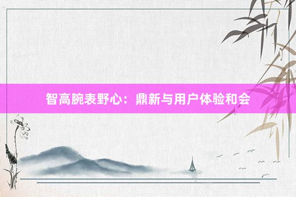 智高腕表野心：鼎新与用户体验和会