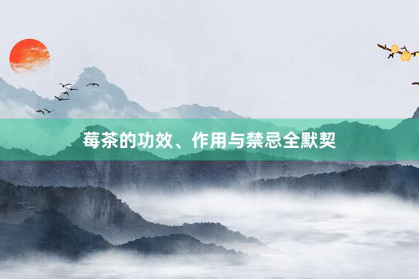 莓茶的功效、作用与禁忌全默契