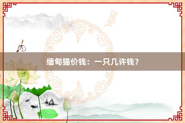 缅甸猫价钱：一只几许钱？